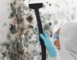 Best Residential Mold Inspection & Testing  in Holden, MO